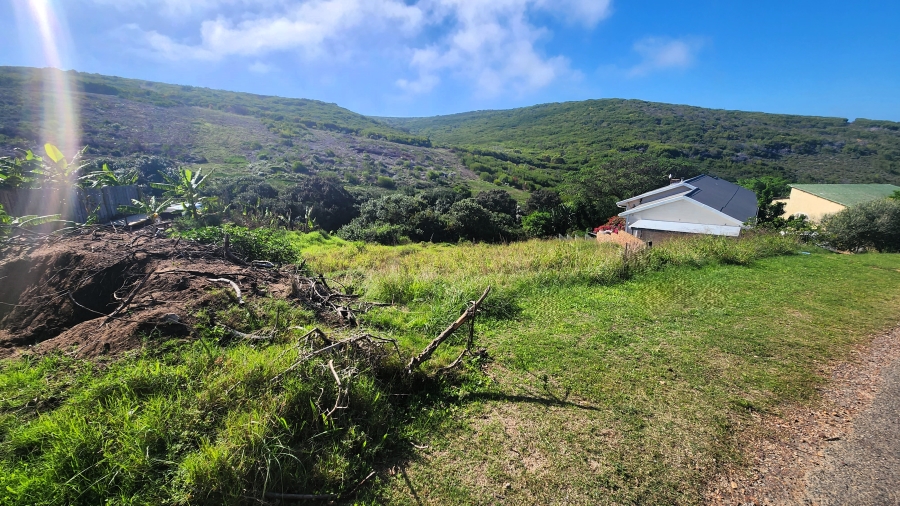 0 Bedroom Property for Sale in Dana Bay Western Cape